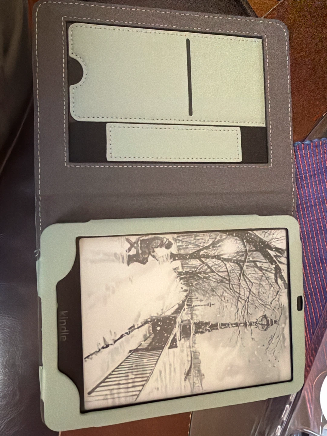 Kindle Paperwhite 2024 Jade 16GB - photo 4
