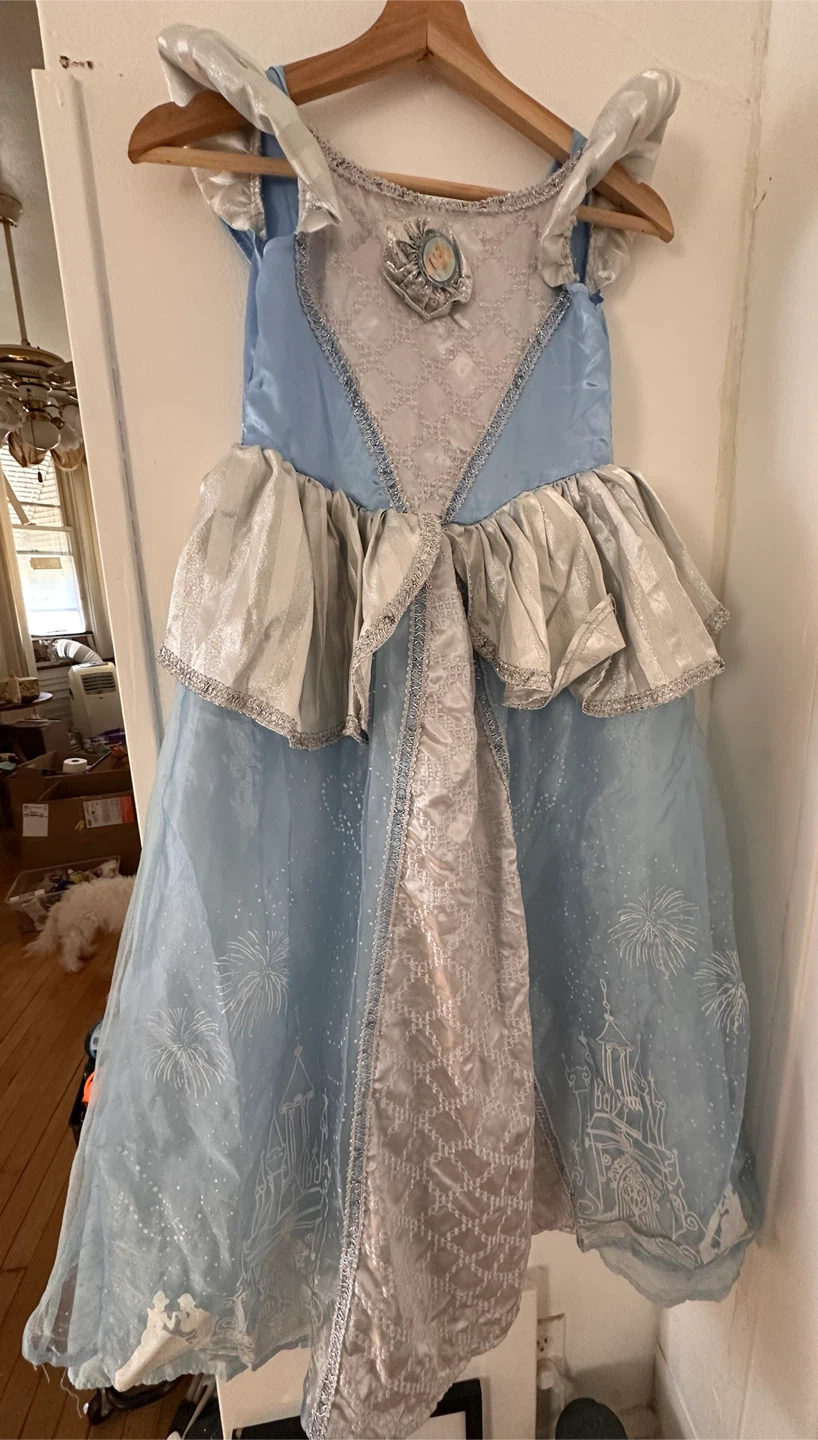 Disney Princess Costume Dress Set