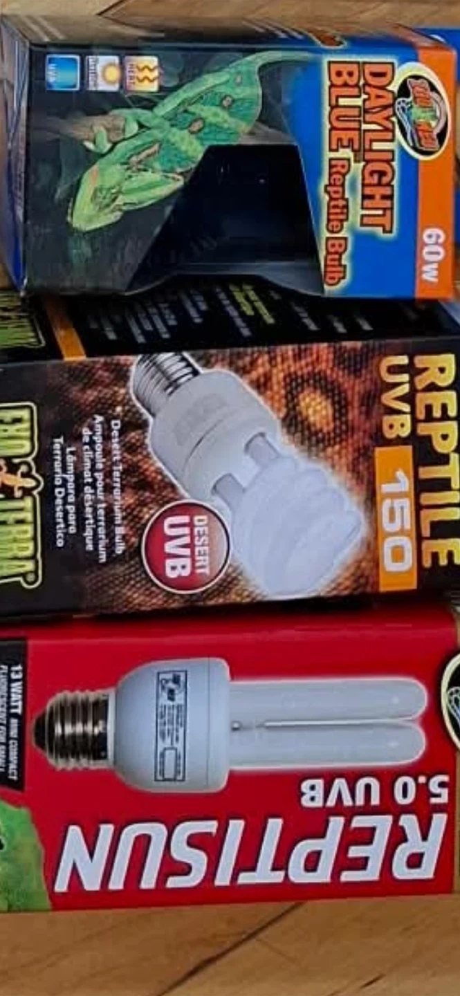 Lot of 3 Reptile Terrarium Bulbs