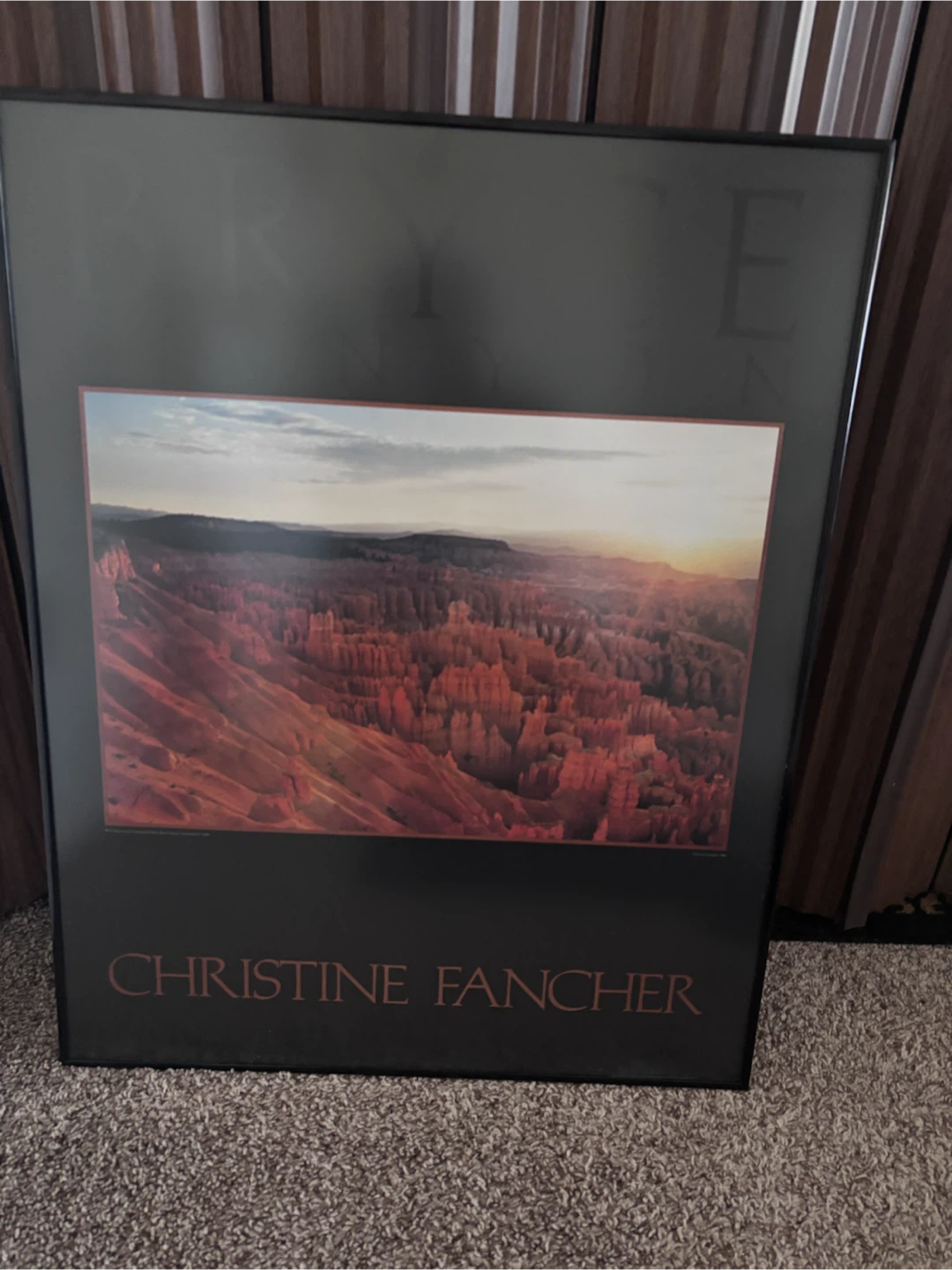 Christine Fancher Bryce Canyon Framed Art - photo 2