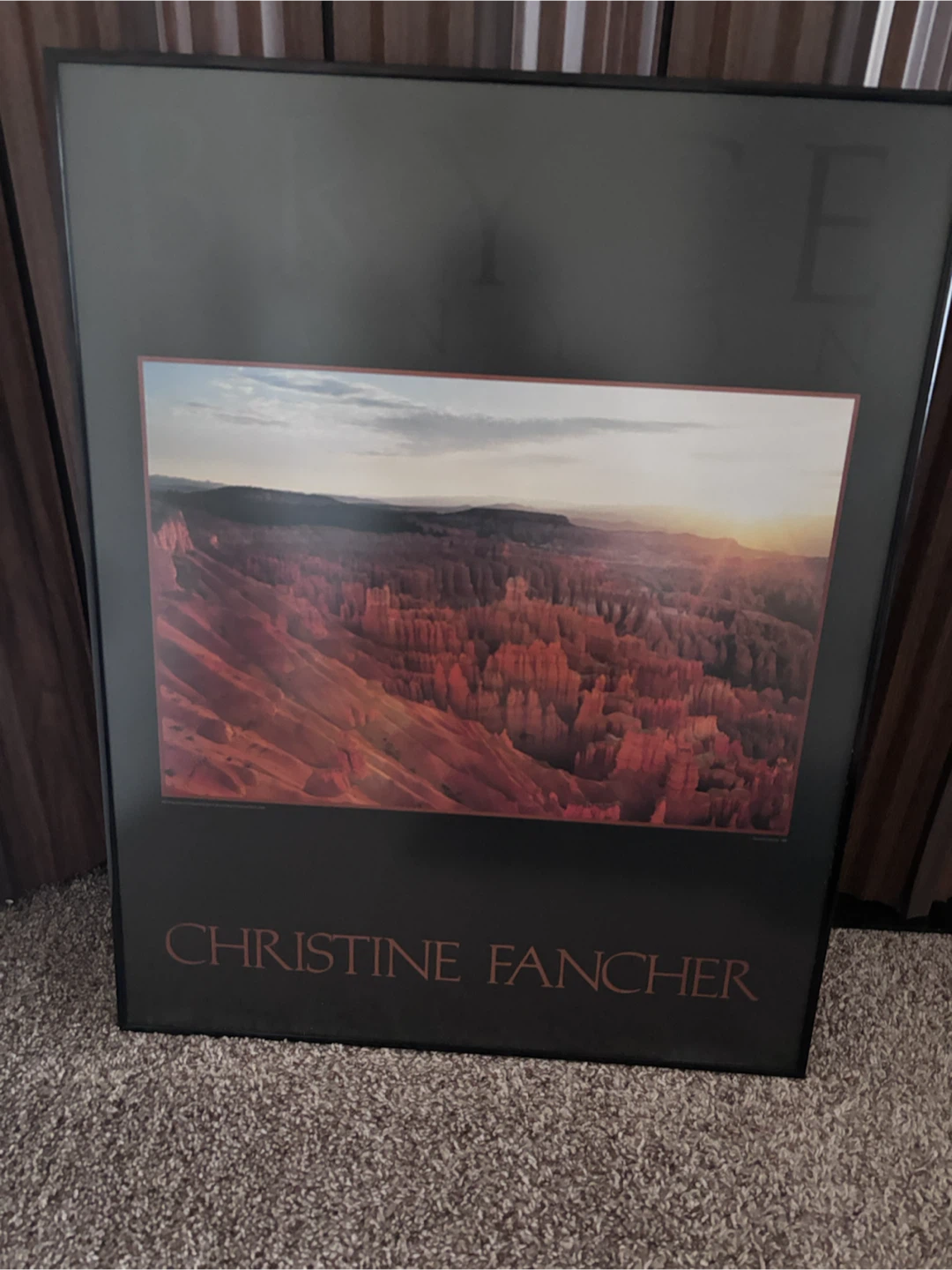 Christine Fancher Bryce Canyon Framed Art - photo 3