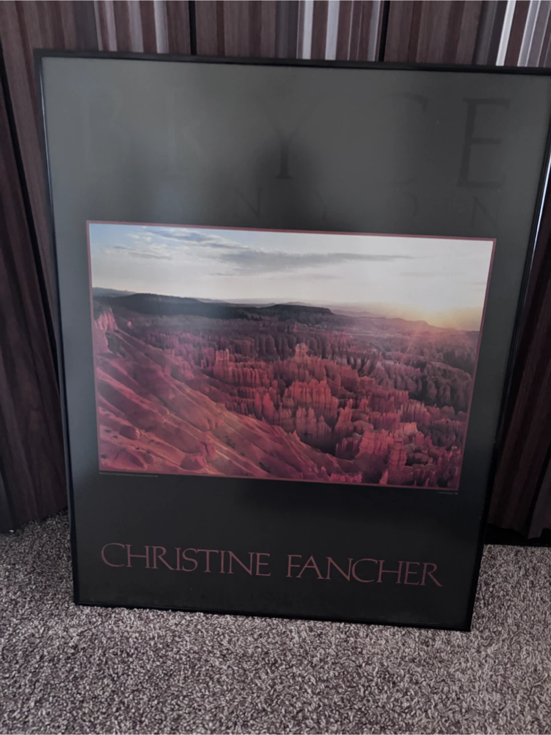 Christine Fancher Bryce Canyon Framed Art - photo 4