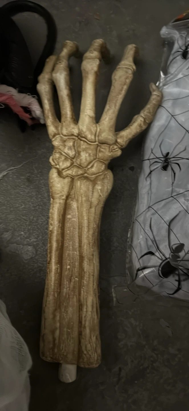 Halloween Decorations - photo 5