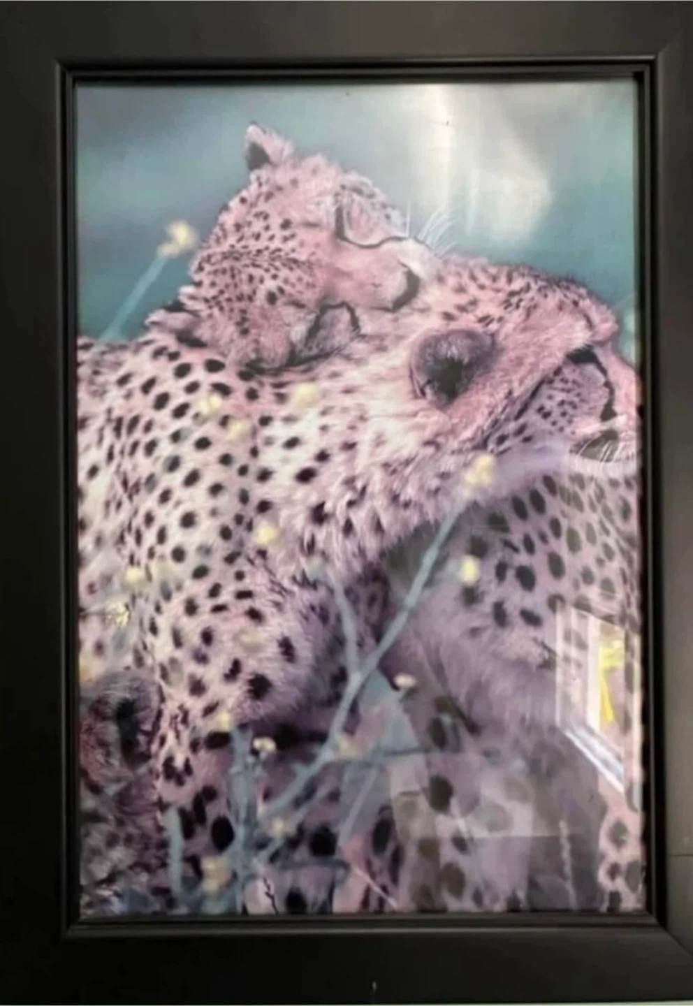 Set of 4 Framed Wildlife Prints - photo 2