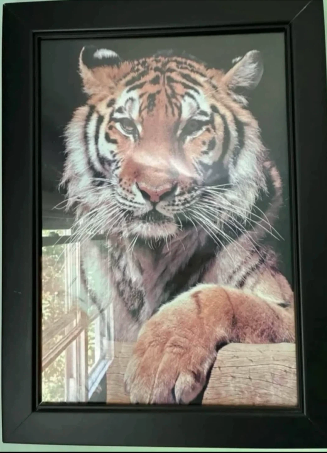 Set of 4 Framed Wildlife Prints - photo 4