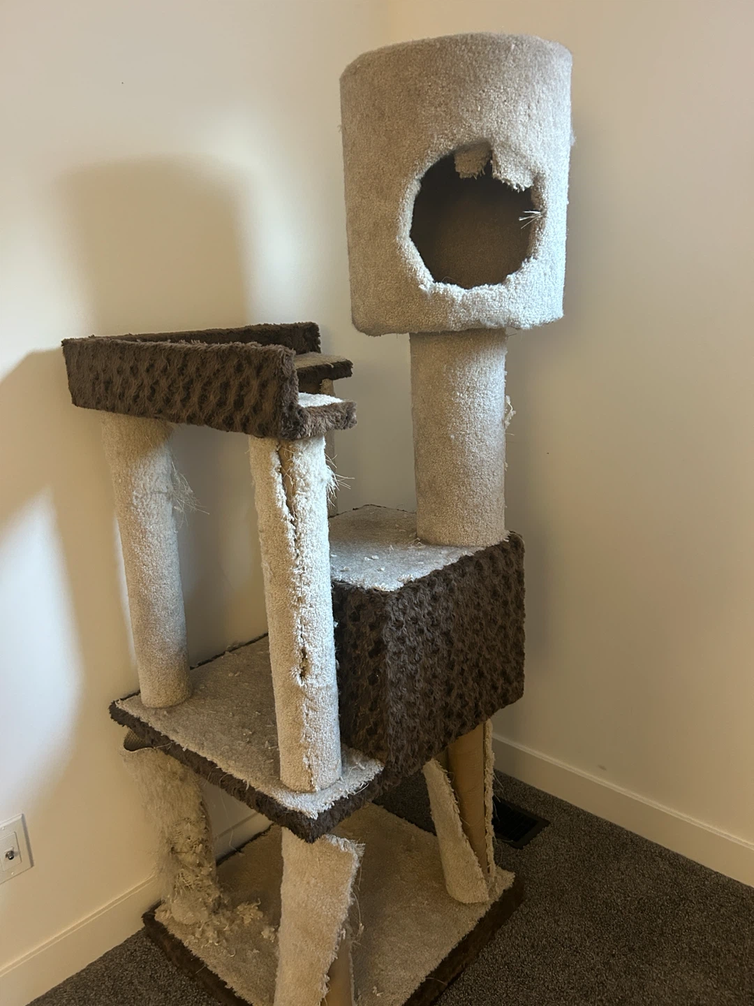 Cat litter box/tree/litter pick up all - photo 4