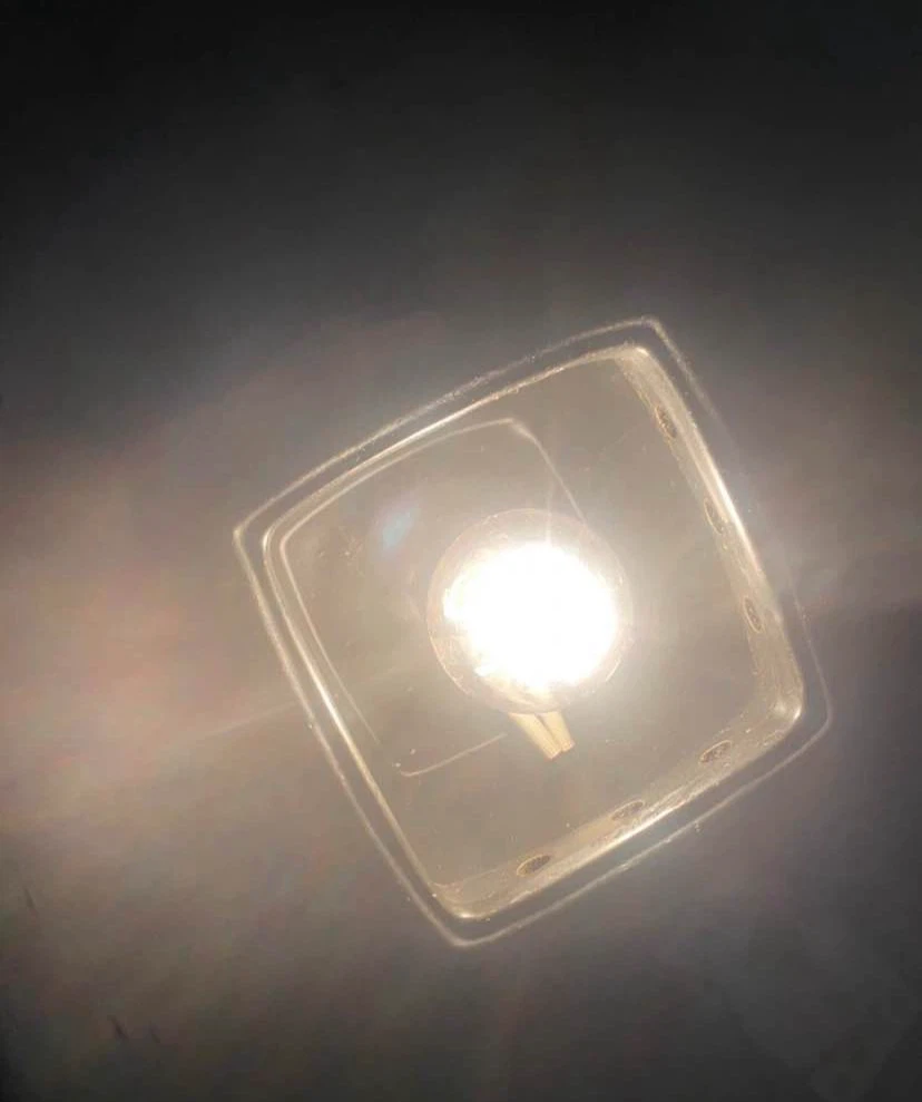 Electric Wax Warmer
