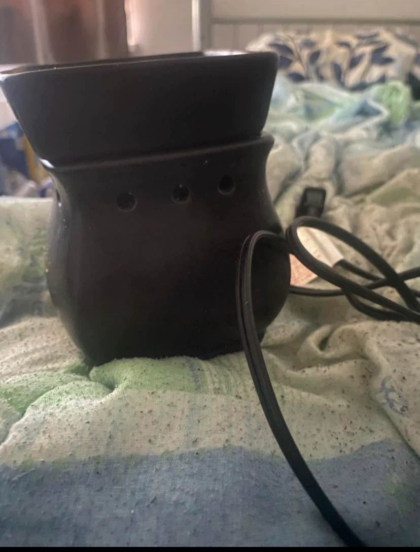Electric Wax Warmer - photo 3