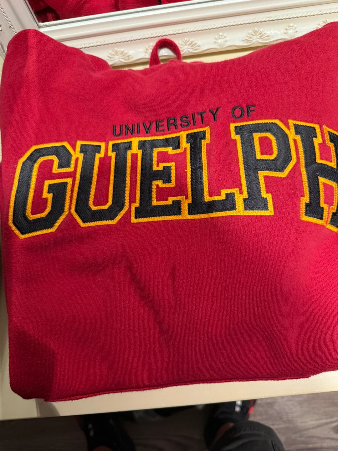 University of Guelph Hoodie- W small