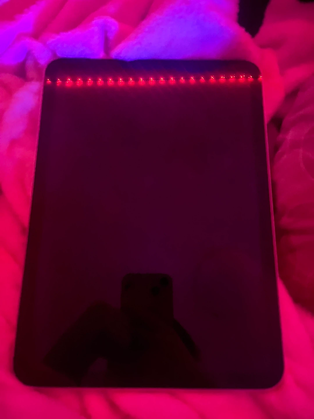 Apple iPad