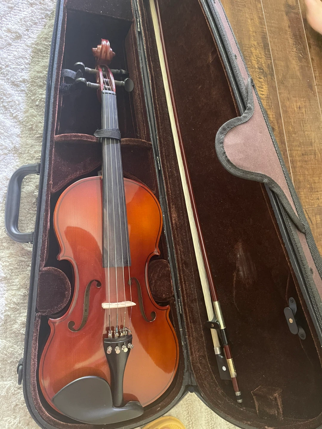 Violin with Case