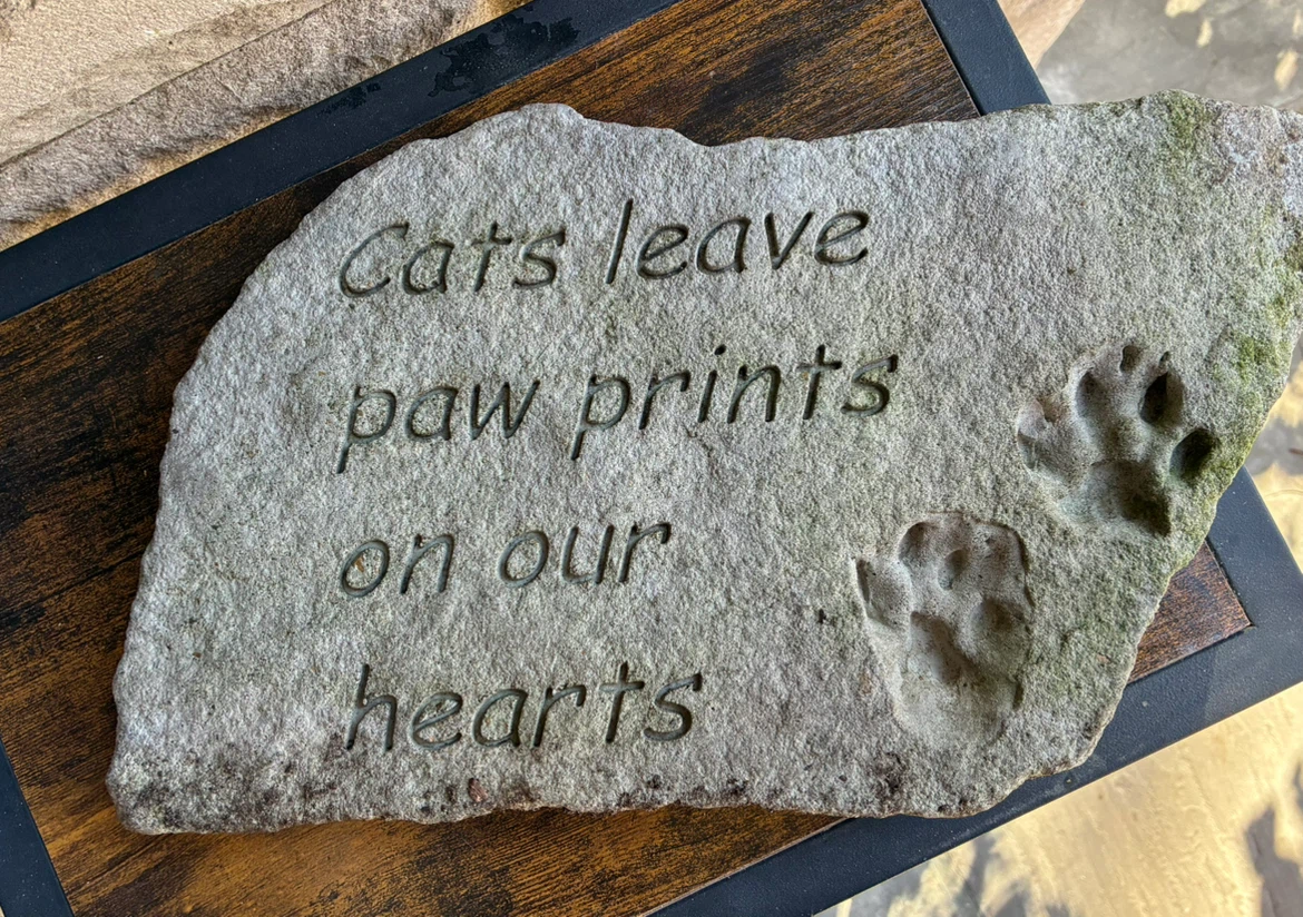 Cat Lover Garden Stone Paw Prints on Our Hearts Rustic Decor