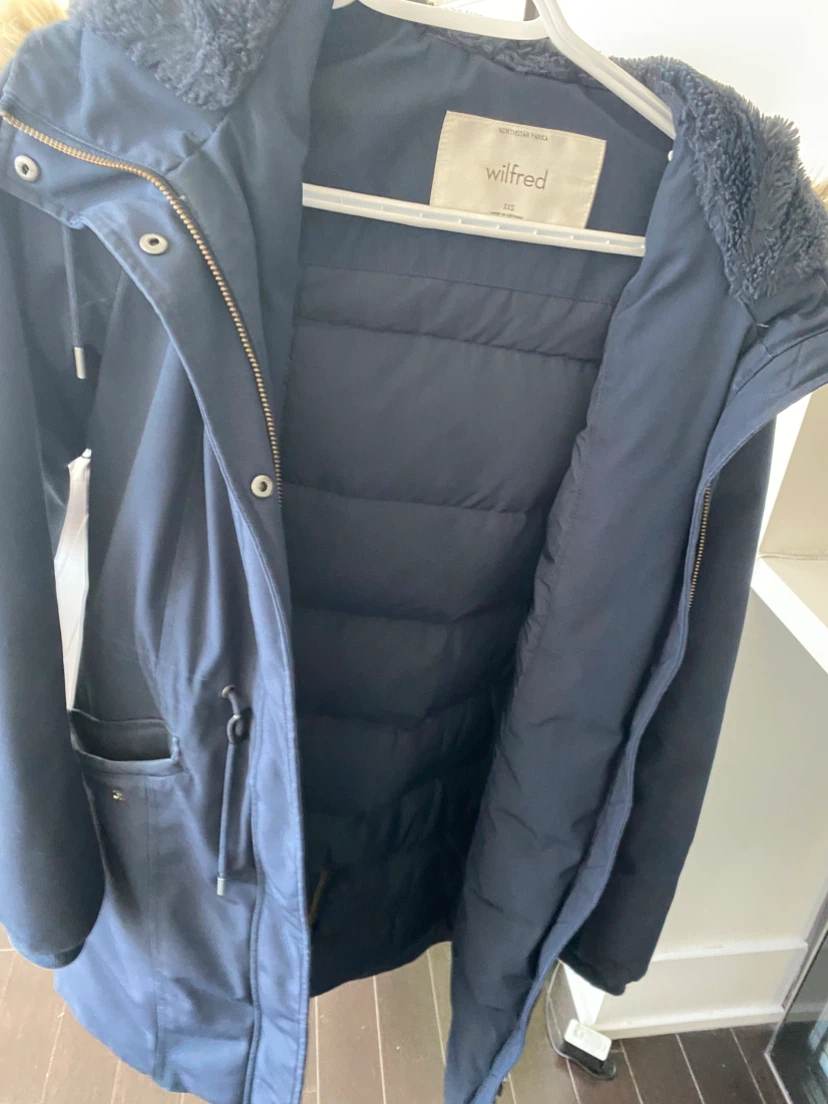 Aritzia Wilfred Northstar Parka - XXS