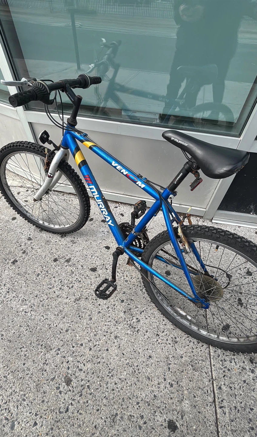 Murray Venom Mountain Bike