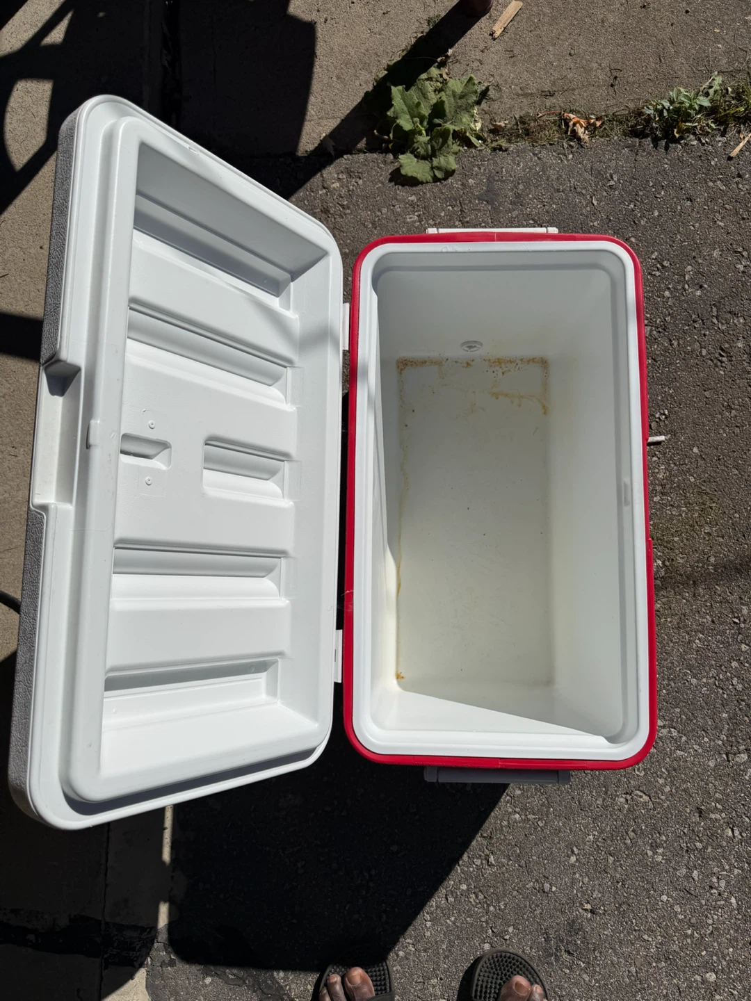 Coleman Hard Cooler Red and White - photo 2