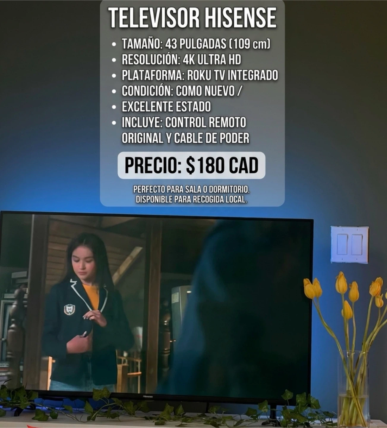 Hisense 43 inch 4K Ultra HD Roku TV
