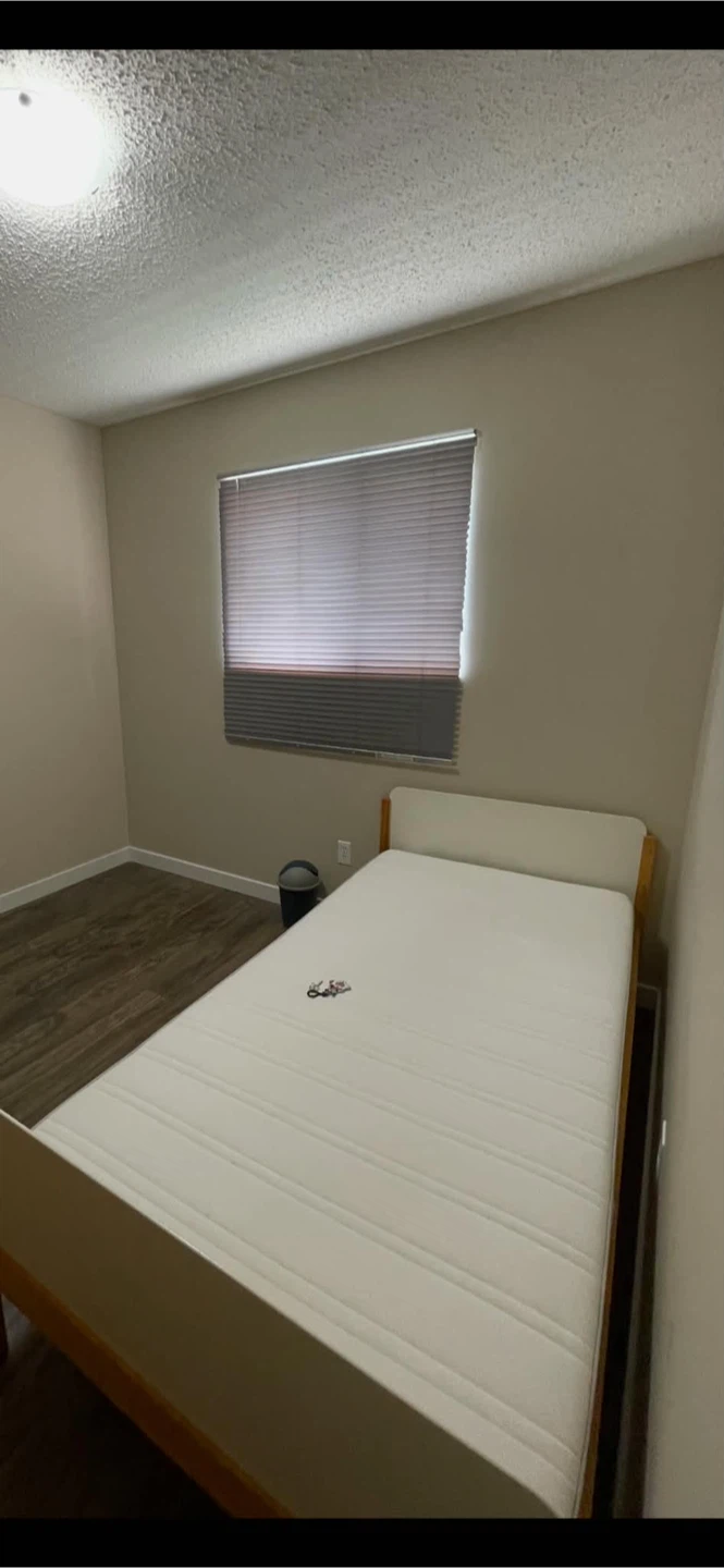 Single Bed Frame with Mattress