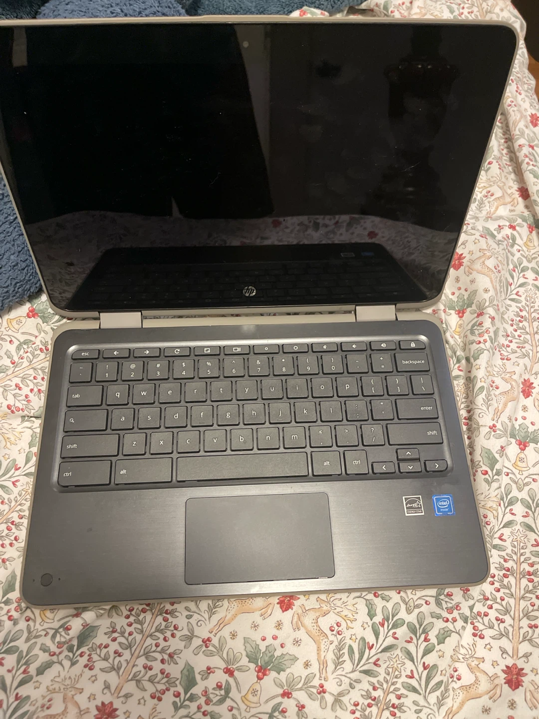HP Chromebook Laptop - photo 2