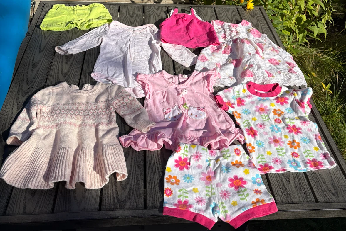 Assorted Baby Girl Clothing Bundle