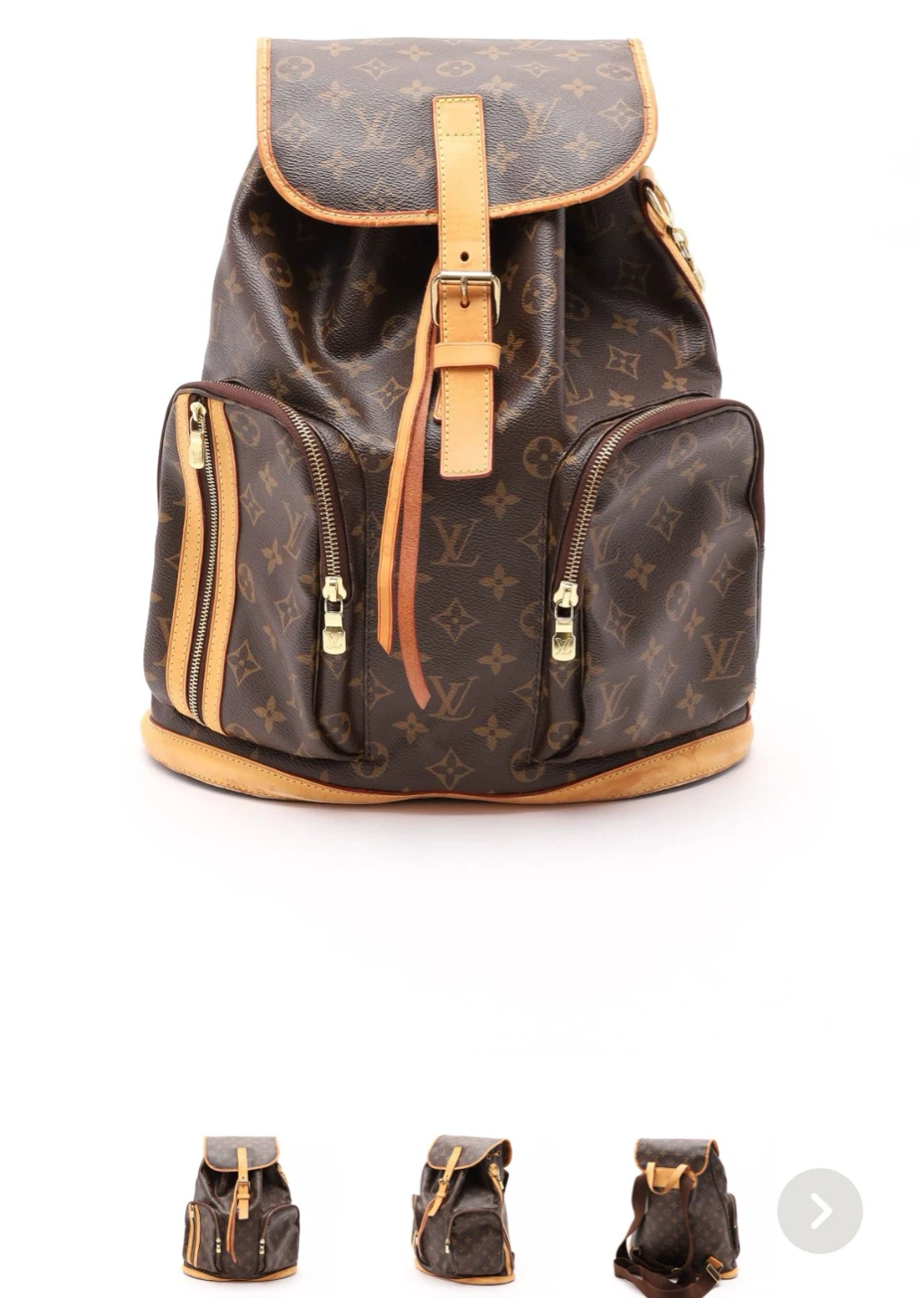 Louis Vuitton Palm Springs PM Monogram Backpack