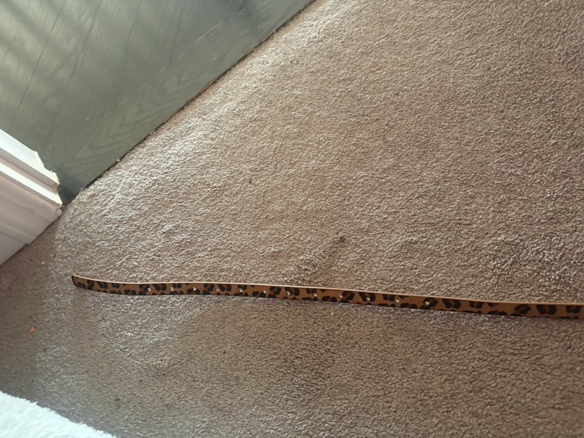 Two thin belts