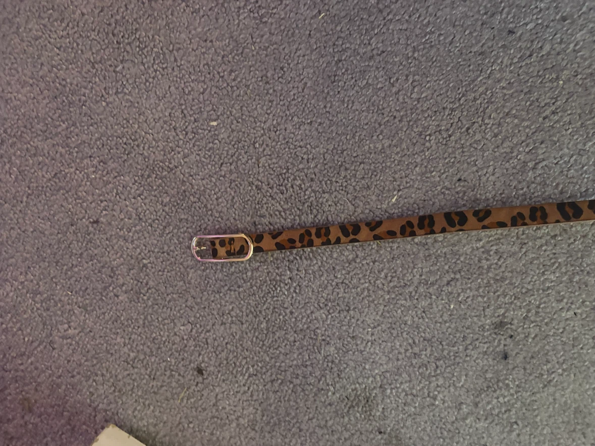 Two thin belts - photo 3