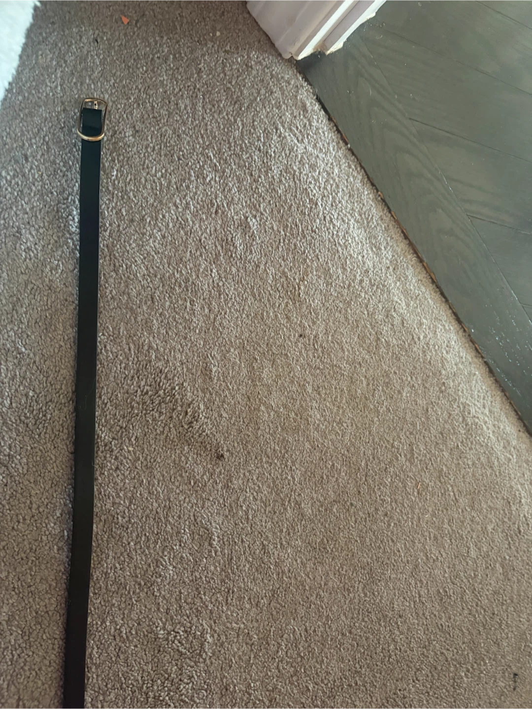 Two thin belts - photo 4