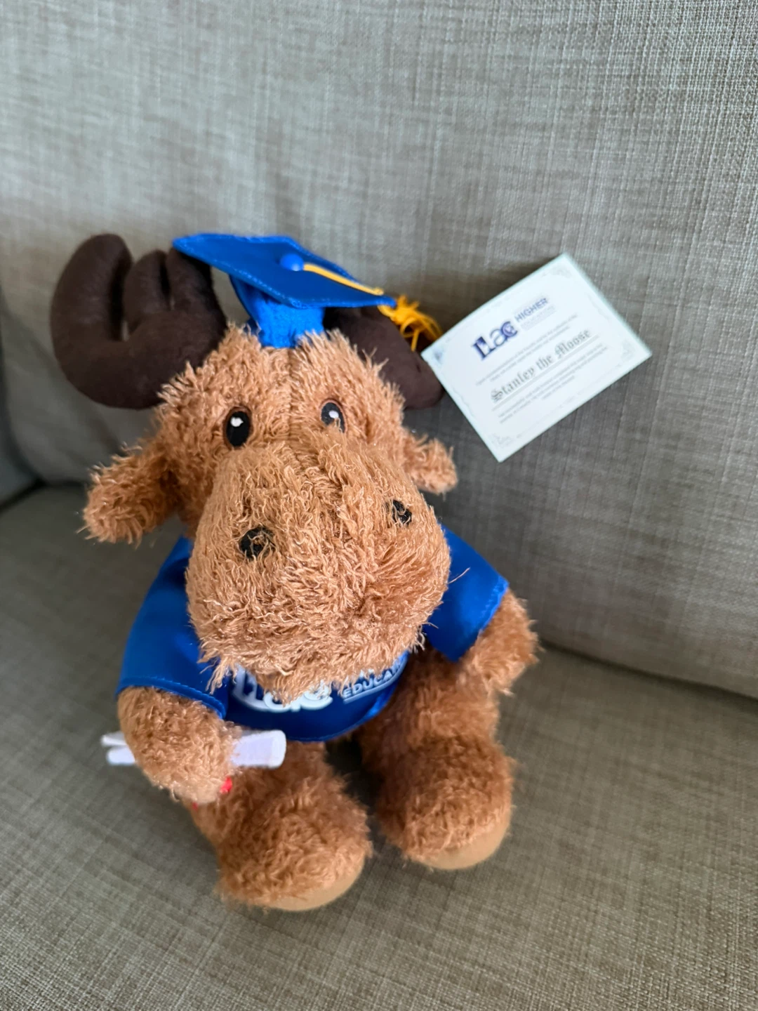 ILAC Higher Education Stanley the Moose Plush