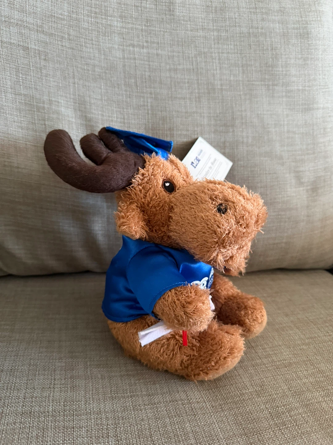 ILAC Higher Education Stanley the Moose Plush - photo 2