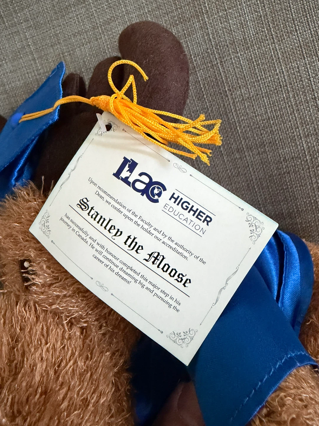 ILAC Higher Education Stanley the Moose Plush - photo 3