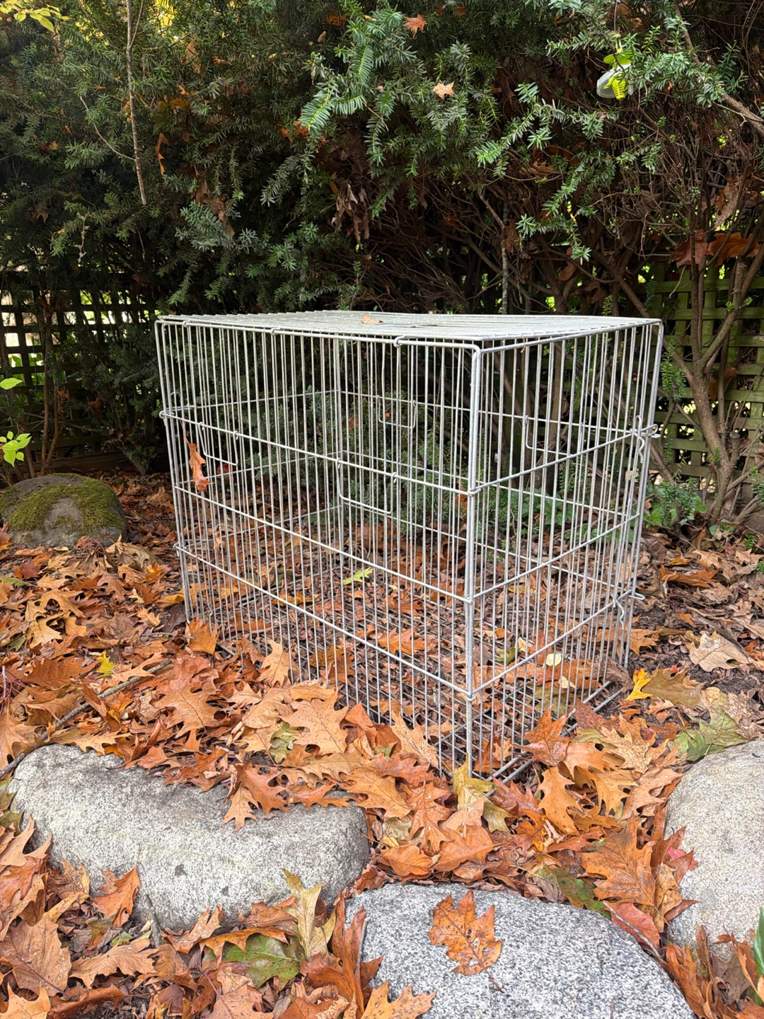 Collapsible Metal Pet Crate