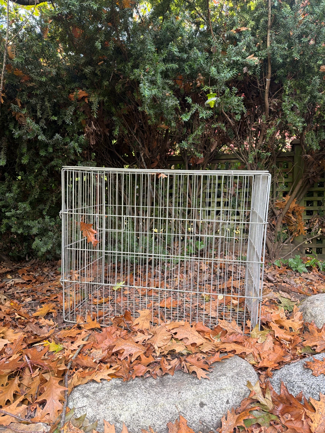 Collapsible Metal Pet Crate - photo 2