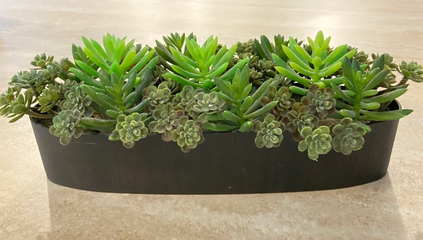Artificial Succulent Arrangement
