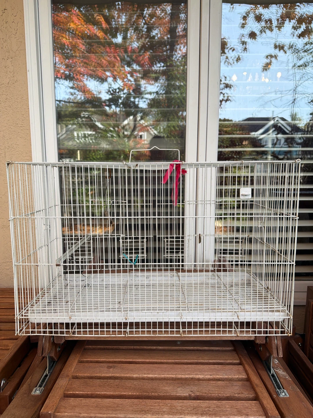 White Metal Bird Cage