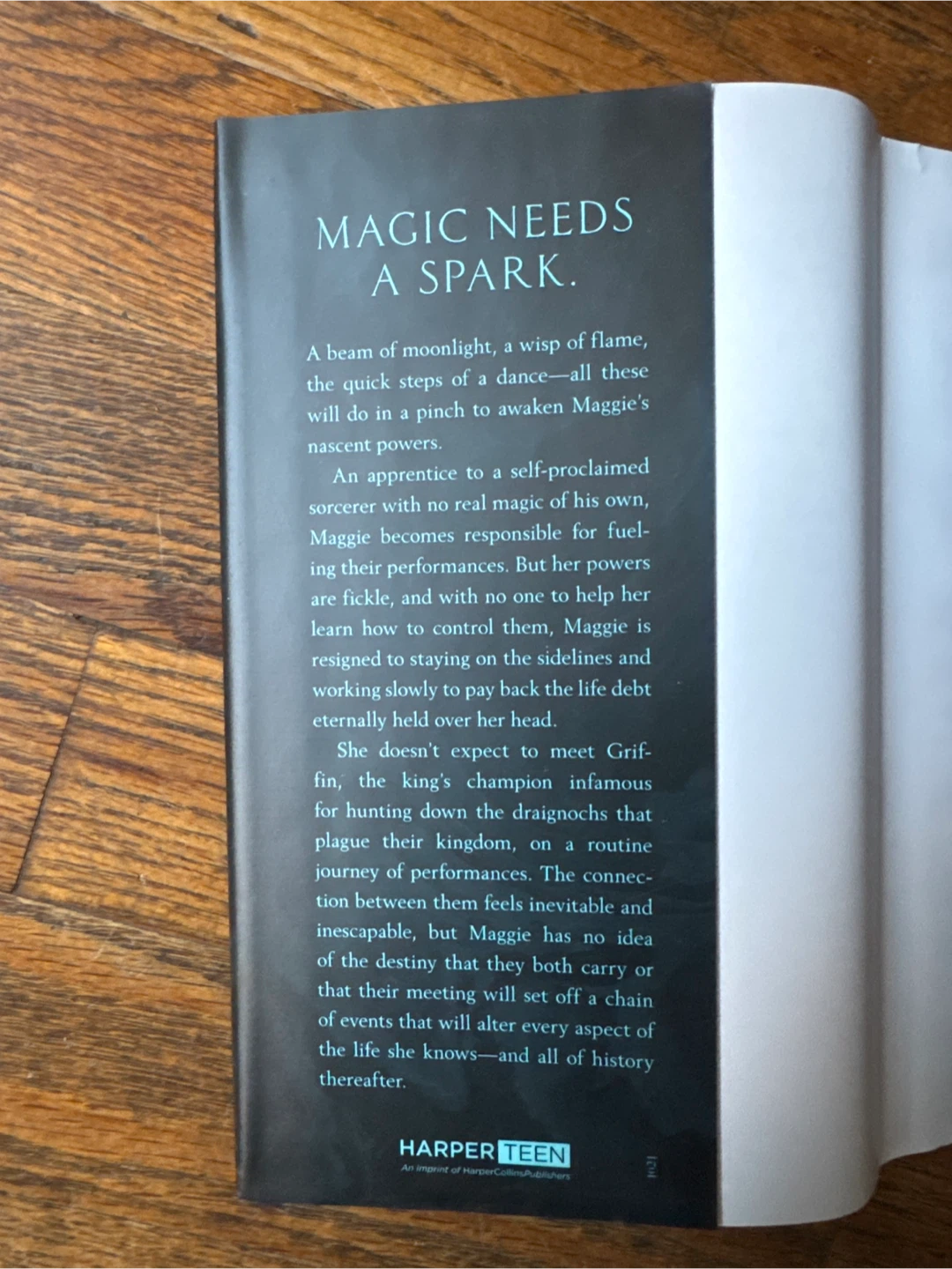 The Color of Dragons by R.A. Salvatore & Erika Lewis - photo 2