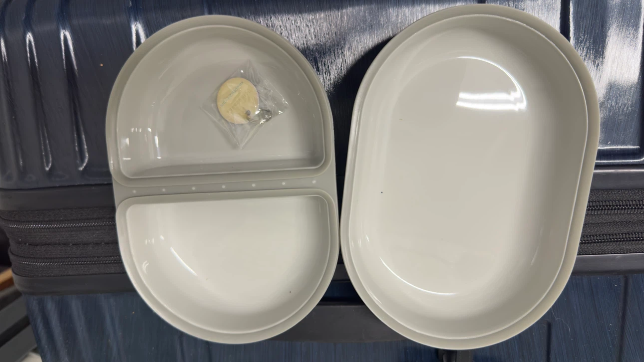 Bowls for Sure Petcare SureFeed Microchip Pet Feeder - photo 2
