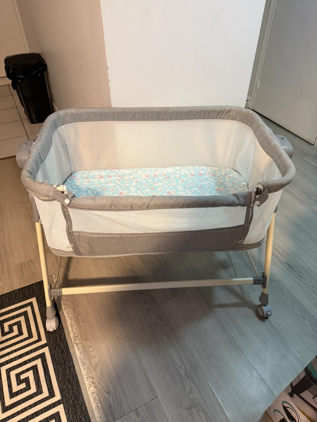 Baby Bedside Bassinet