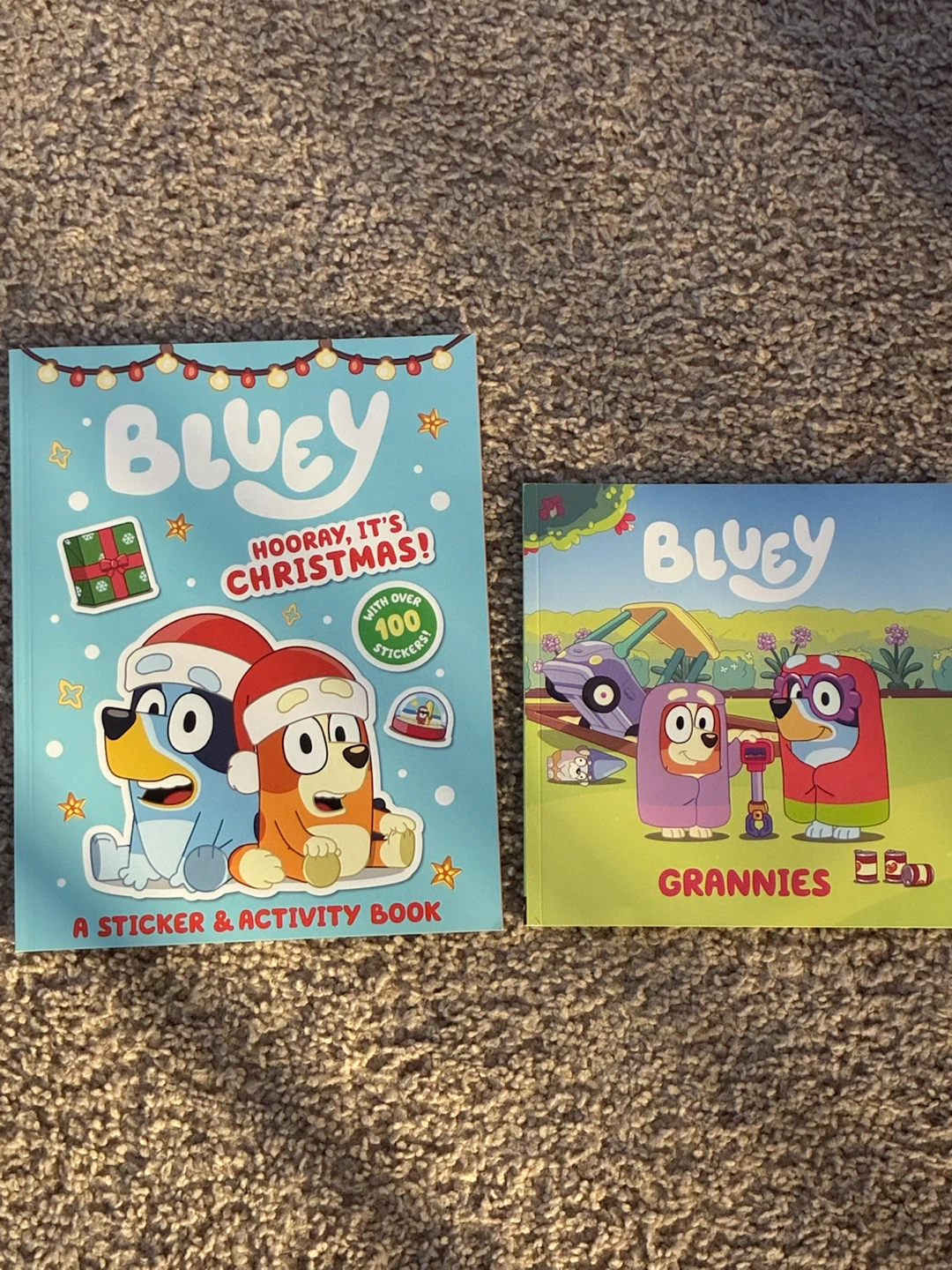 Bluey Sticker & Activity Book Set