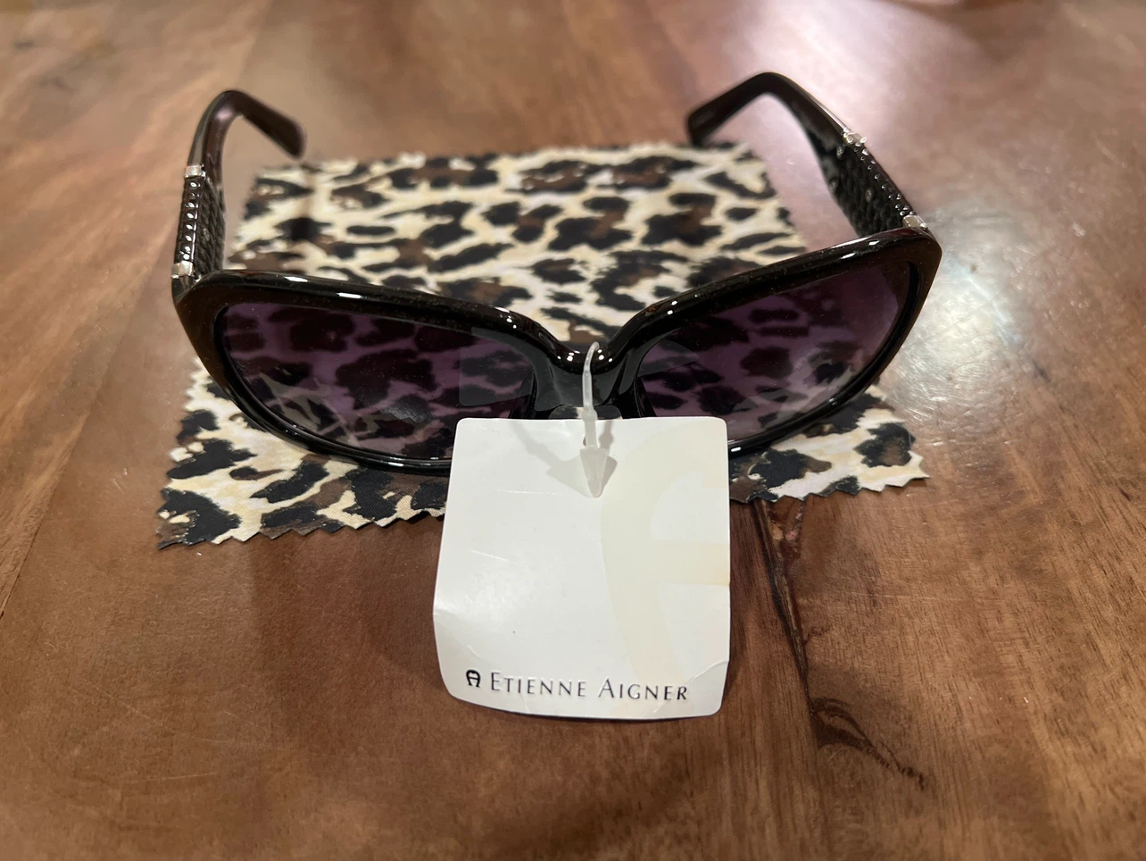 Etienne Aigner EA-LYON-BK Sunglasses