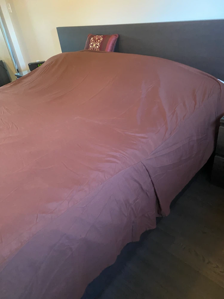 Brown King Size Bed Skirt - photo 3