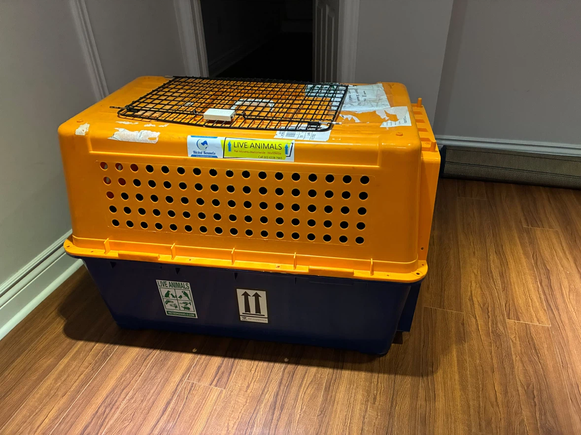 Airline Travel Crate - photo 2