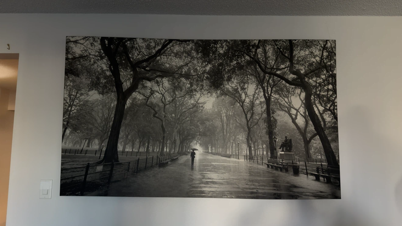Central Park Black and White Wall Art Canvas