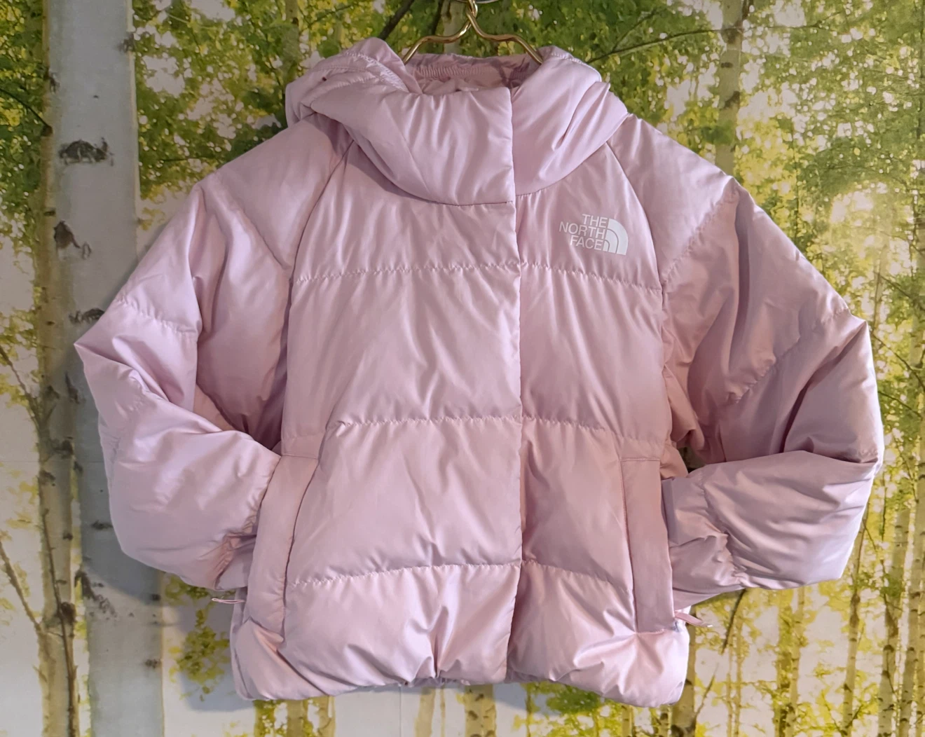 The North Face Girls’ Pink Puffer Jacket – Size 7/8