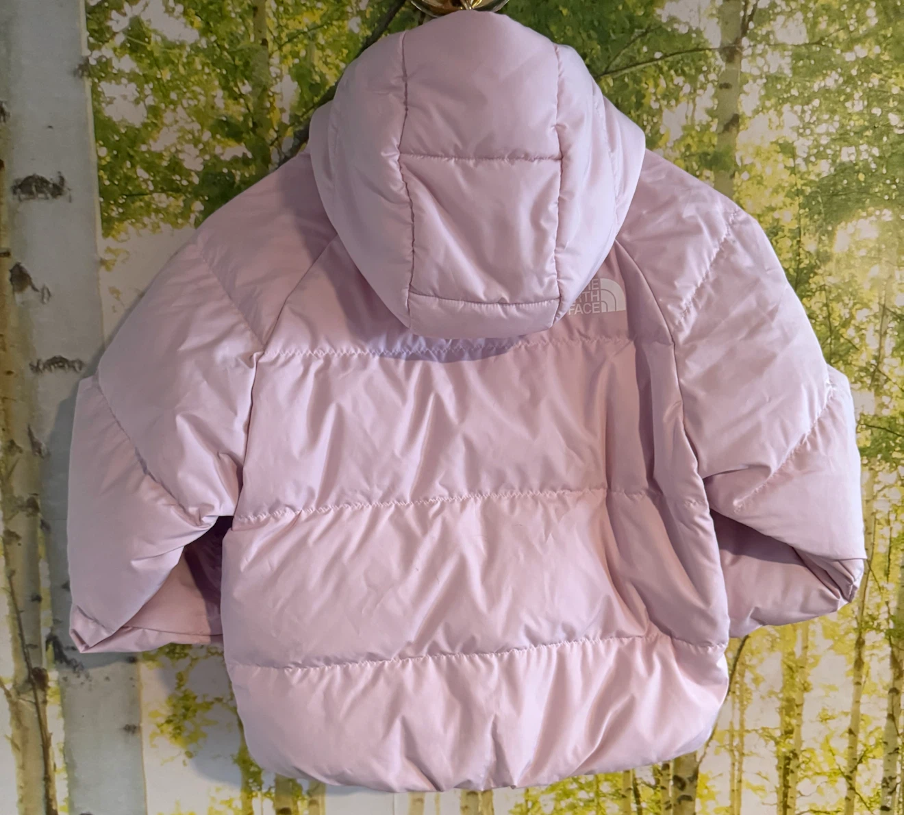 The North Face Girls’ Pink Puffer Jacket – Size 7/8 - photo 2