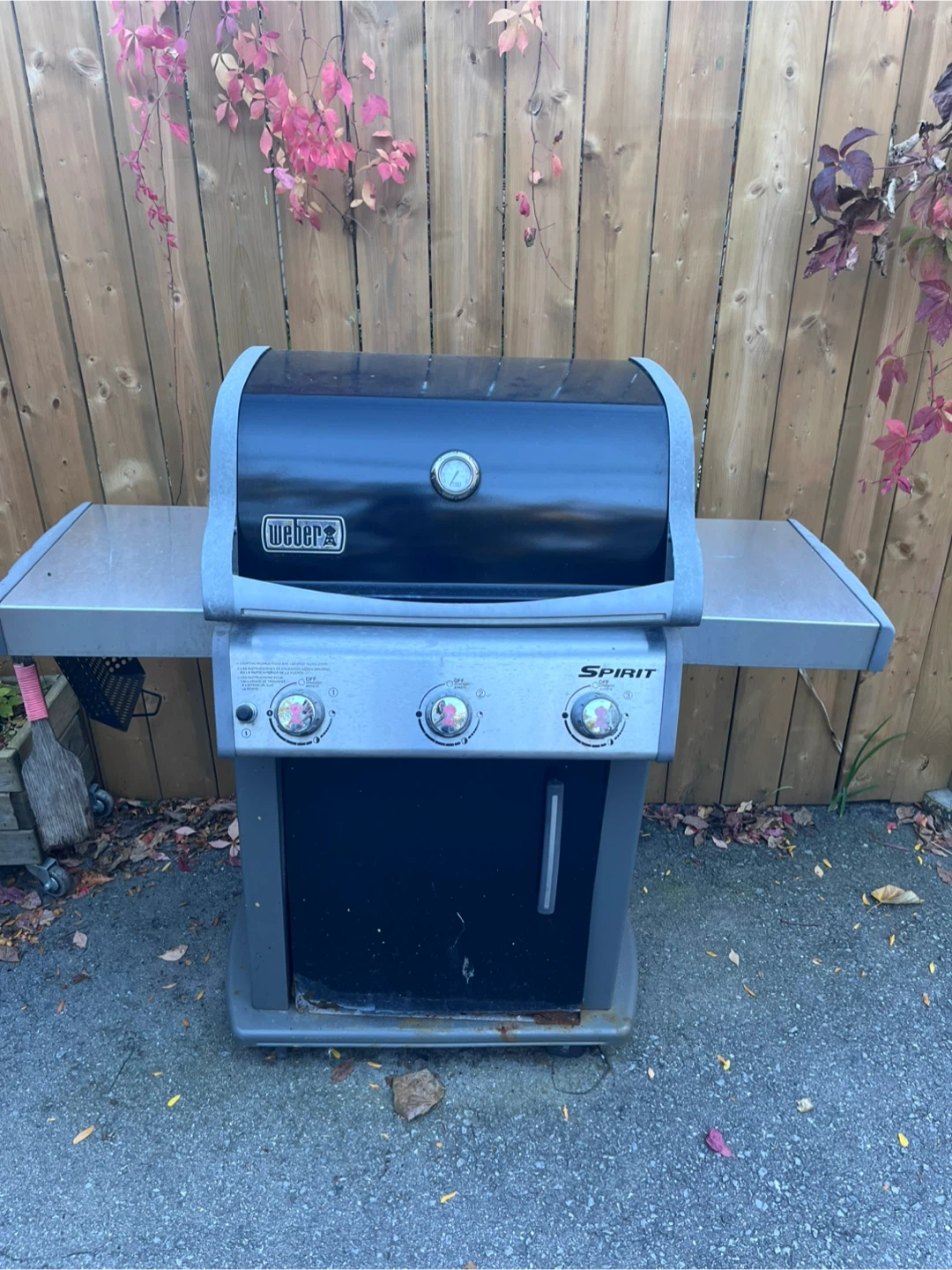 Weber Spirit 3-Burner with 2 Propane BBQ