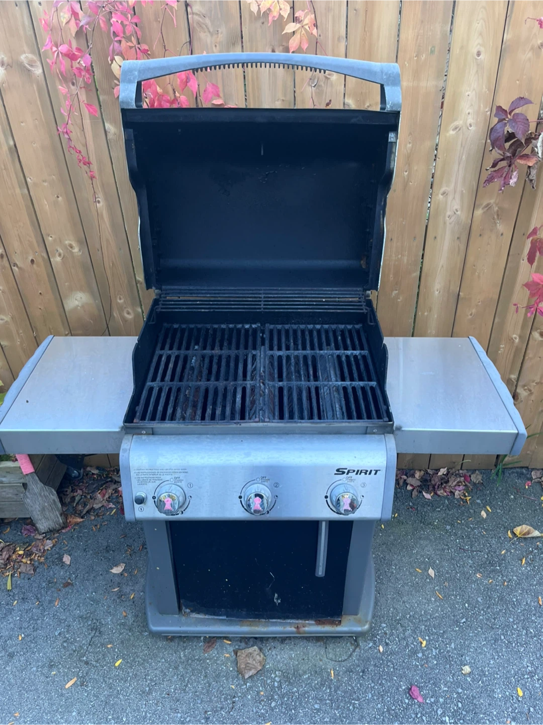 Weber Spirit 3-Burner with 2 Propane BBQ - photo 4