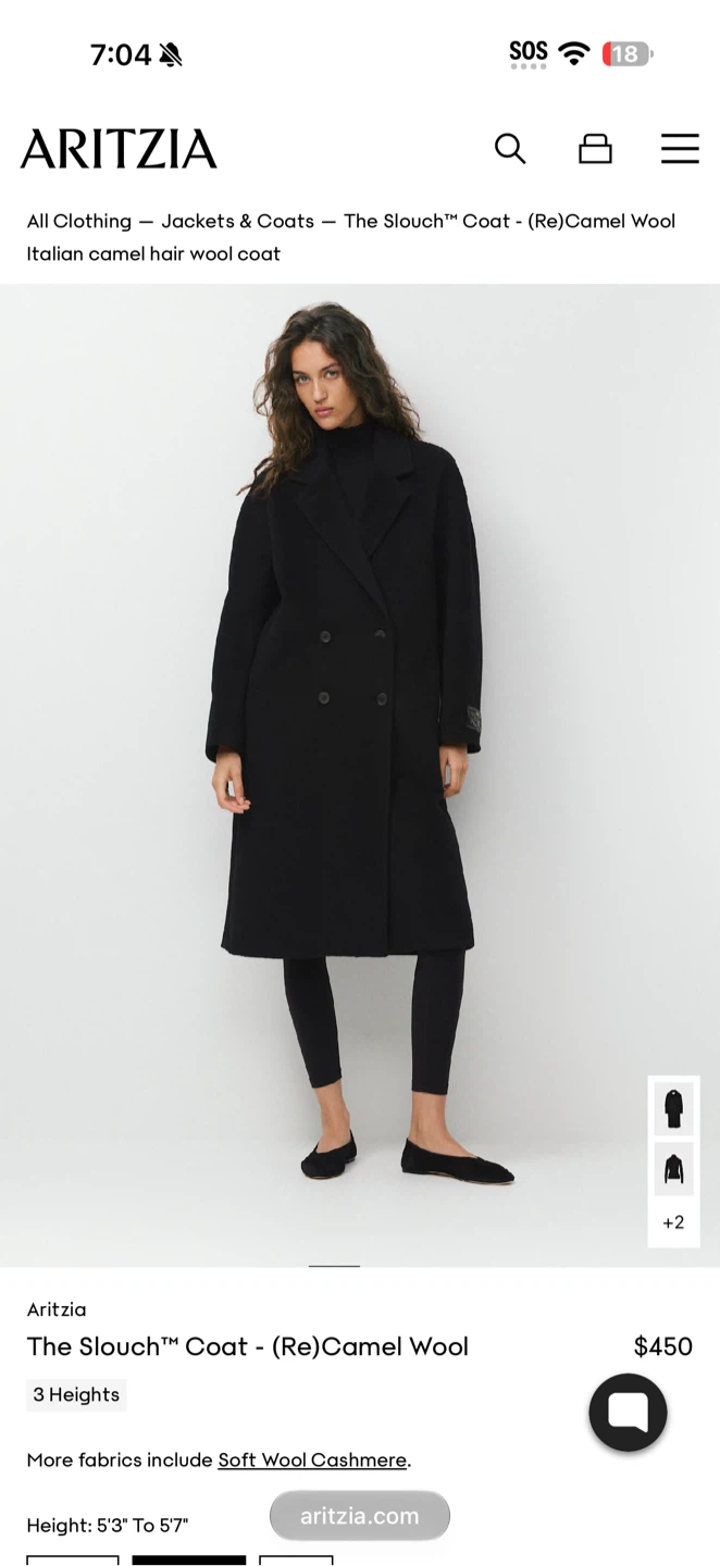 Aritzia The Slouch Coat