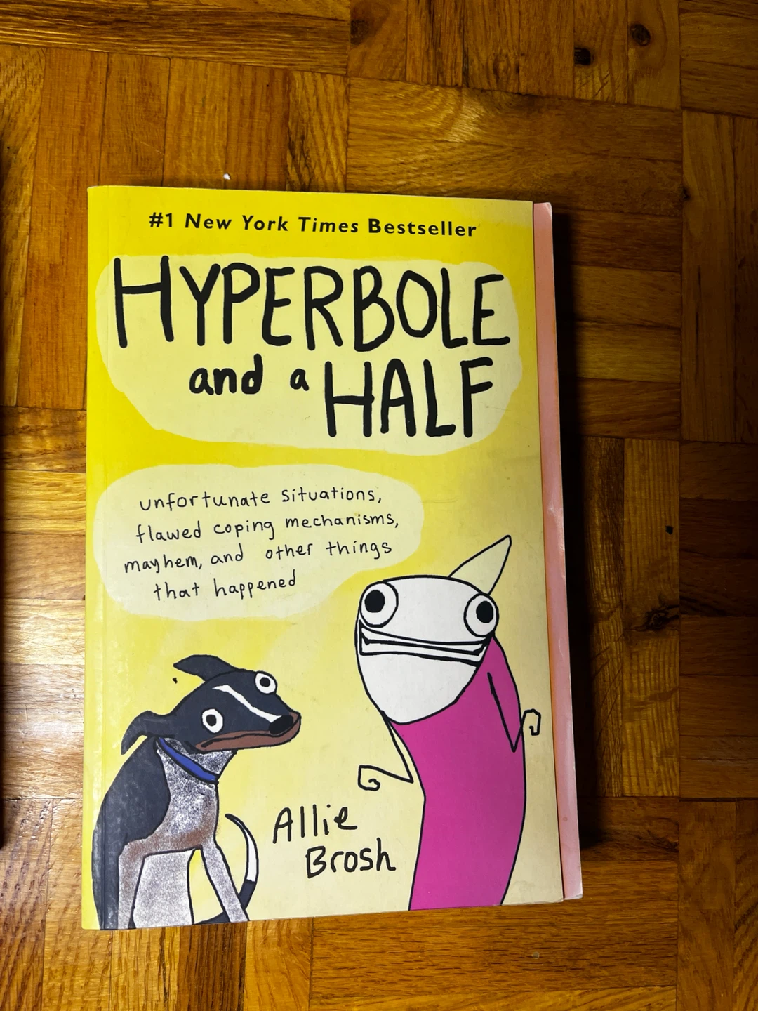 Hyperbole and a Half by Allie Brosh