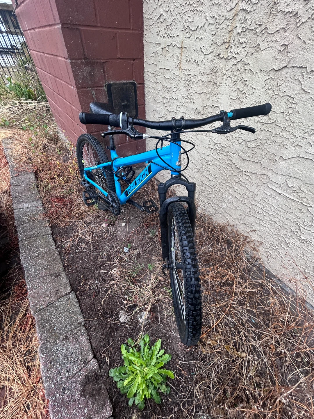 Raleigh Youth Mountain Bike