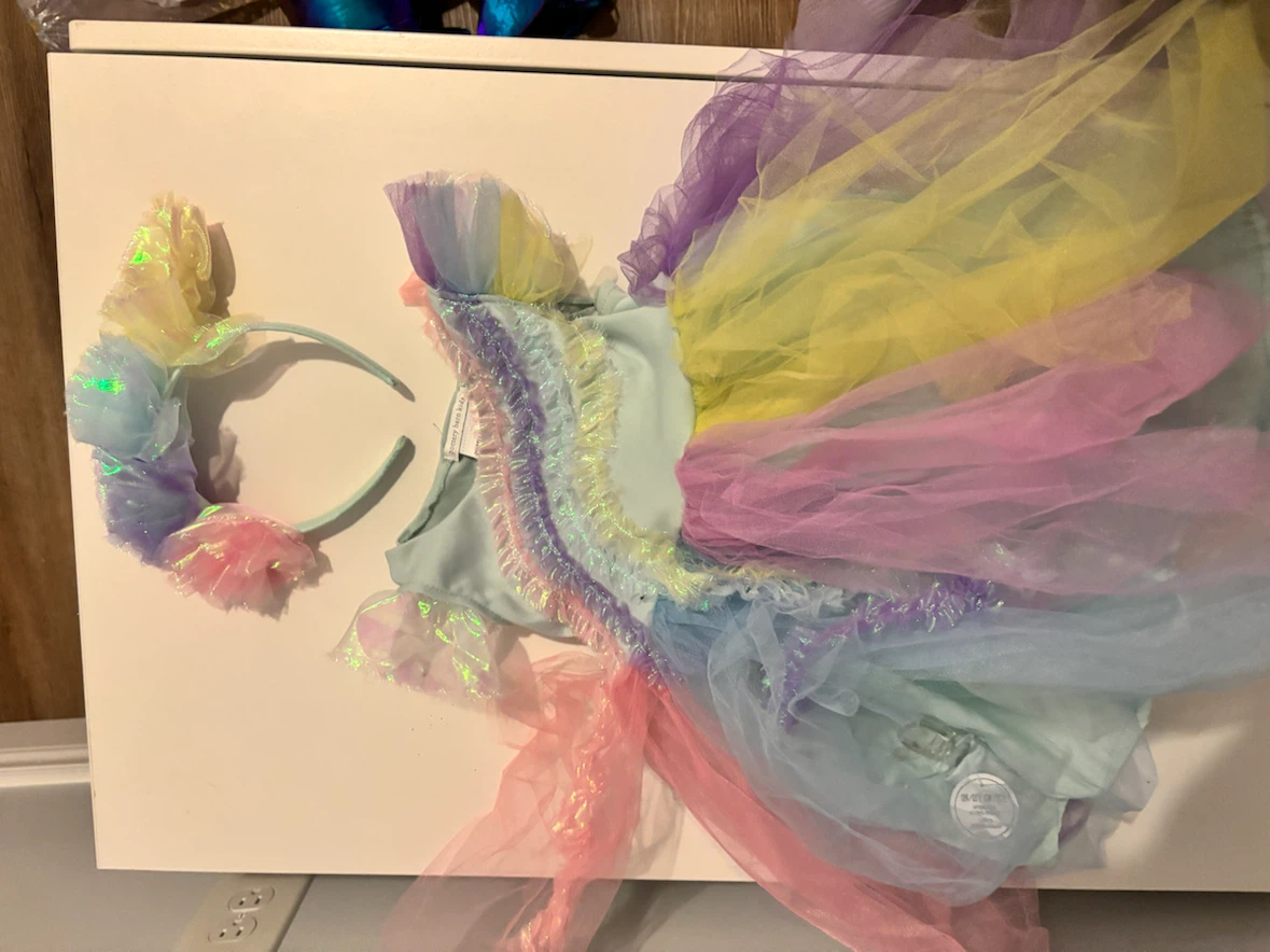 Pottery Barn Kids Fairy Costume Set Size 3T